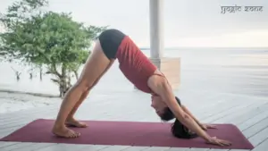 Everything You Need to Know About Iyengar Yoga for Beginners
